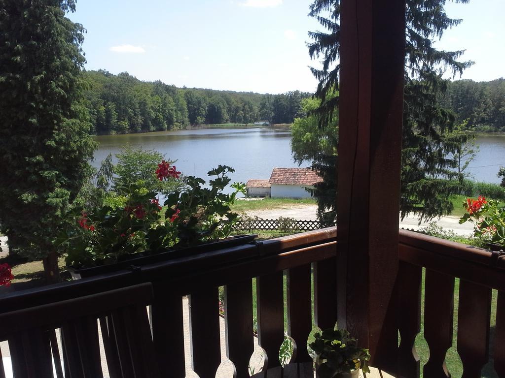 Agneslaki Okoturisztikai Centrum Es Vadaszhaz Nagykanizsa Kamer foto